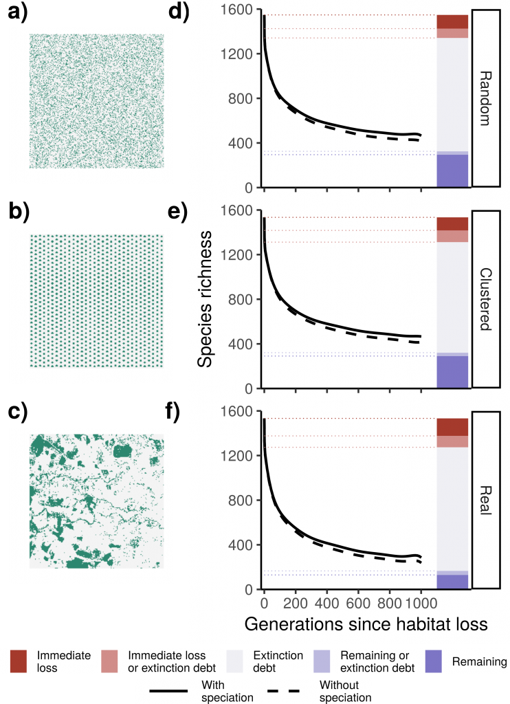 Species richness in simulated neutral landscapes