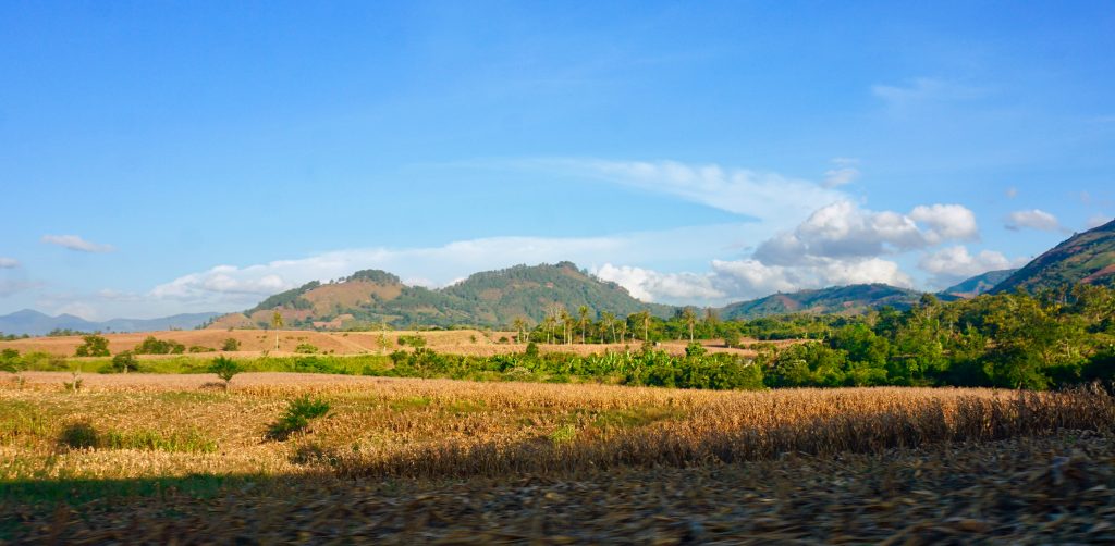 Deforestation in Sumatra, Indonesia